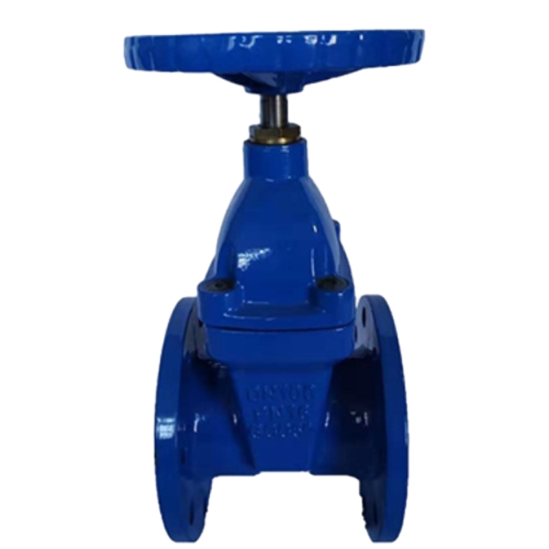 Soft muhuri mlango Valve